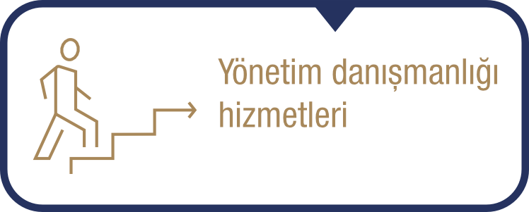 Yönetim Danışmanlığı Hizmetleri